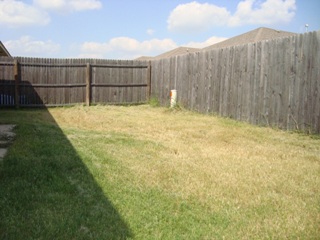 Yard